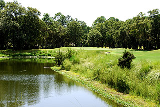 Palmetto Hall Plantation - Cupp Course - Hilton Head Golf Course