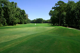 Palmetto Hall Plantation - Hills Course - Hilton Head Golf Course